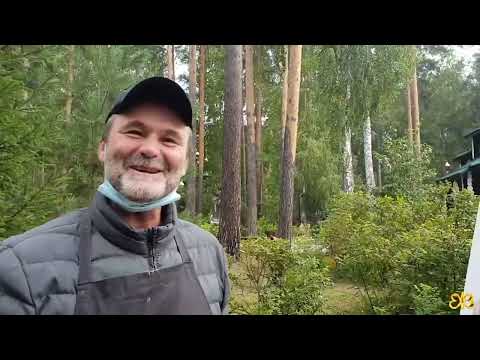 Видео: Осенний всполох