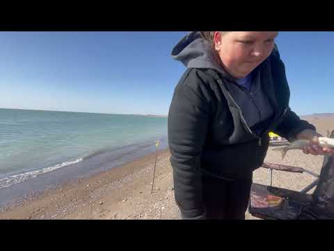 Видео: Рыбалка 9 насосная