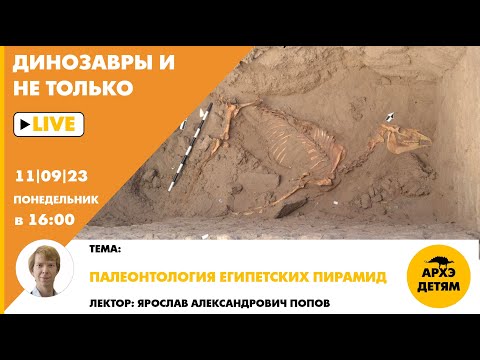 Видео: Занятие "Палеонтология египетских пирамид" кружка "Динозавры и не только" с Ярославом Поповым