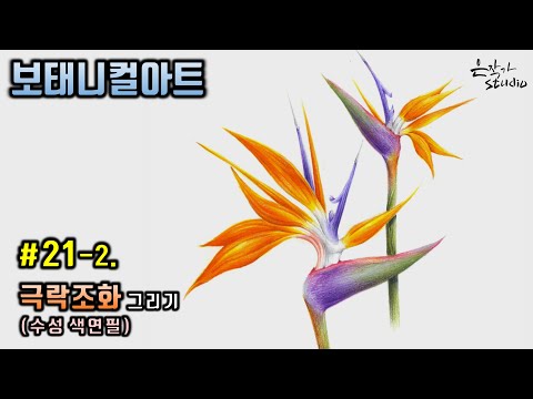 Видео: [Цветочный рисунок/Ботаническое искусство] № 21-2. Рисунок цветным карандашом 'райская птица цветок'