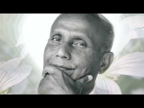 Видео: Всем кому дорог мир_часть 4