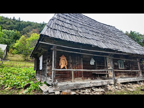 Видео: Брустури – Поляна: Школа серед гір та покинуті хати під полониною Сиглянське