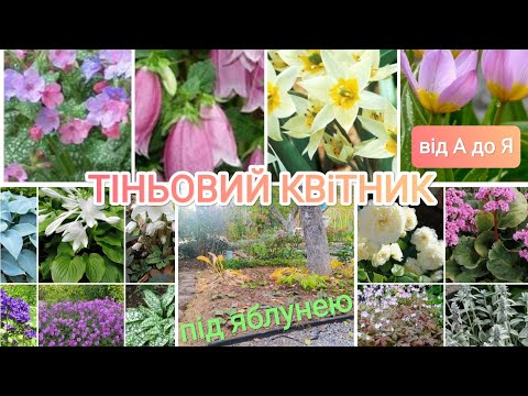 Видео: Тіньовий квітник під яблунею||З нуля||Власноруч||Від А до Я