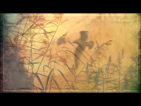 Видео: Ольга Павенская - Я жду тебя