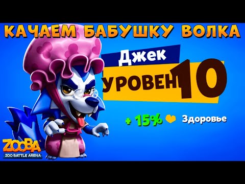 Видео: ПУТЬ ВОЛКА - КАЧАЕМ ДЖЕКУ 10 УРОВЕНЬ В ИГРЕ ZOOBA