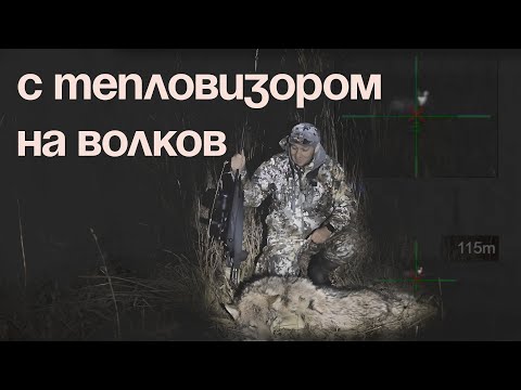 Видео: Охота на ВОЛКОВ с тепловизором. Добыл волка