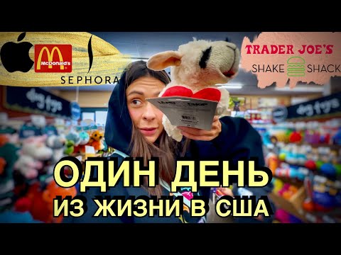 Видео: НОВАЯ БУРГЕРНАЯ и УХОД ЗА ВОЛОСАМИ | ПОКУПАЮ НОУТ? ЭПЛ СТОР | ТРЭЙДЕР ДЖОС | ПРОБЕЖКИ С БАРРИ