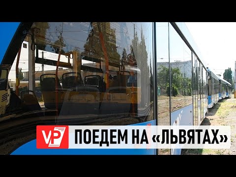 Видео: В ВОЛГОГРАД ПОСТУПИЛИ 12 НОВЫХ ТРАМВАЕВ МОДЕЛИ «ЛЬВЕНОК»