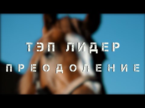 Видео: PRO_Лошадей. Тэп Лидер. 17 ноября 15:35