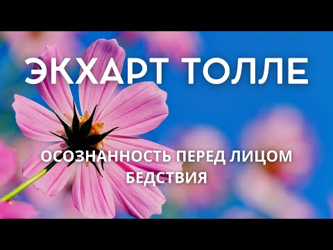 Видео: Осознанность перед лицом бедствия - ЭКХАРТ ТОЛЛЕ [Nikosho]