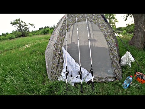 Видео: Рыбалка с ночёвкой. Рыбалка на ДОНКИ КРОКОДИЛ с бубенцами. Ночую один на реке.