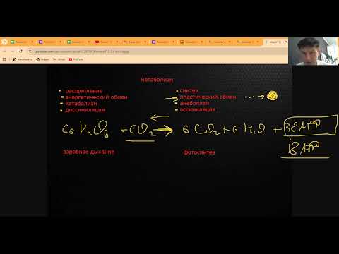 Видео: Метаболизм - это анаболизм и катаболизм. Решение задач на дыхание клеток. Подготовка к ЦТ по био