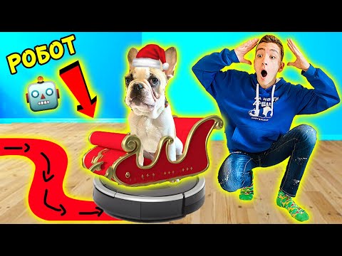 Видео: ПРЕВЪРНАХМЕ РОБОТ ЗА ЧИСТЕНЕ В КОЛЕДНА ШЕЙНА ЗА КУЧЕТО НИ!