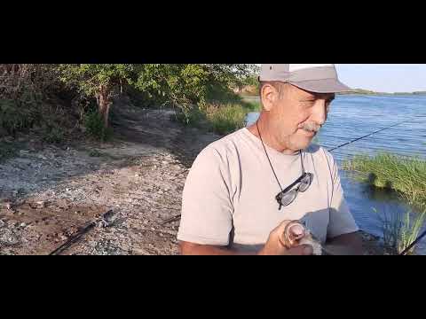 Видео: Рыбалка на Дону