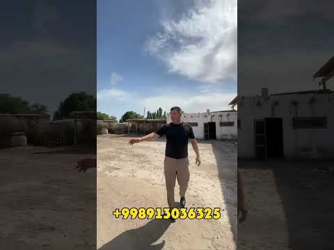 Видео: Адай ауыл Кунград сатылатын жер жай келисймли