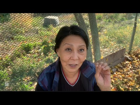 Видео: 🧷 660. Друзей держи близко, а врагов - ещё ближе! ☝🏻😉