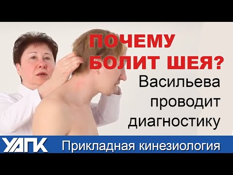 Видео: Полный алгоритм поиска причины боли в Шее