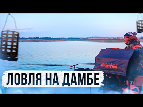 Видео: НОЧНАЯ ФИДЕРНАЯ ЛОВЛЯ, ЛОВЛЯ НА ДАМБЕ!