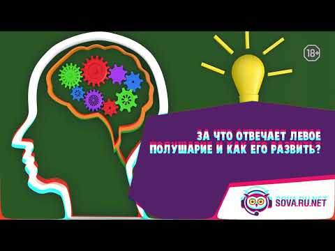 Видео: За что отвечает левое полушарие и как его развить?