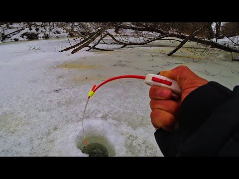 Видео: ЭТО Я УДАЧНО ПОПАЛ НА КЛЁВ! ДИКАЯ РЕЧКА ПОЛНАЯ РЫБЫ! Рыбалка на жерлицы и мормышку 2024.