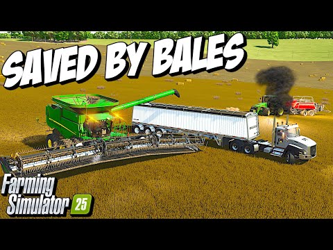 Видео: Урожай мог бы быть полным провалом, если бы не одно НО | Farming Simulator 25