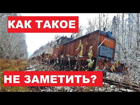 Видео: Как я мог такое не заметить?! Корчеватель пней от СТАЛИНЦА! В лес на мотодрезине.