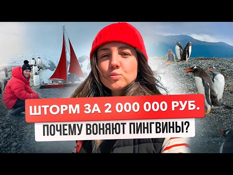 Видео: Антарктида // пролив Дрейка // Шторм