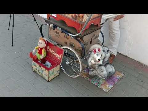 Видео: Дивноморское 15 сентября 2