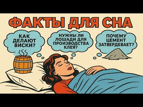 Видео: Вопросы перед сном: Удивительные факты, чтобы быстро уснуть