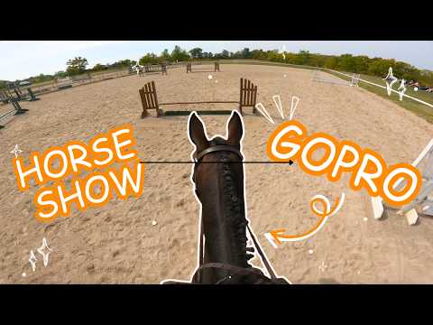 Видео: POV: Каково это — ездить верхом на Канберре на конном шоу
