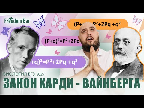 Видео: Задачи на ЗХВ. 27 Задание ЕГЭ |Эволюция| ЕГЭ БИОЛОГИЯ 2025|Freedom|