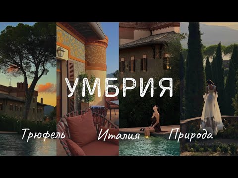 Видео: Жизнь в особняке XX века! VLOG: Италия, Умбрия🇮🇹 Охота на чёрный трюфель, лучшие оливки в моей жизни
