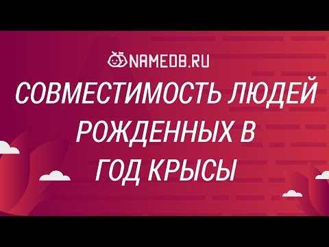 Видео: Совместимость людей, рожденных в год Крысы