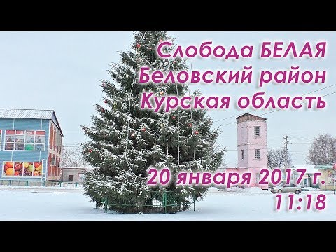 Видео: Слобода Белая, Беловский район, Курская область. Прогулка 20 января 2018 г.