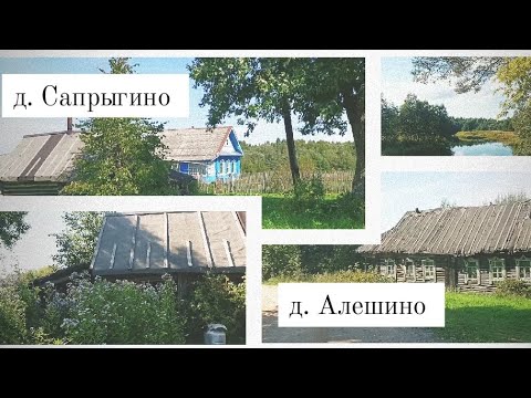 Видео: д. Алешино и д. Сапрыгино | Селижарово. Тверская область