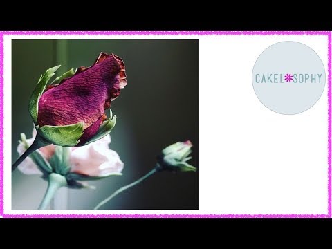 Видео: Мастер-класс по созданию бутона розы: сахарная паста или глина (2021)