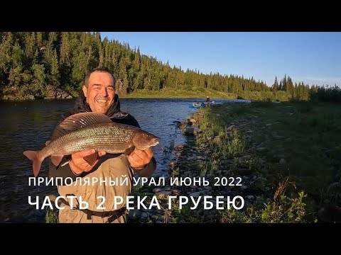 Видео: Приполярный Урал июнь 2022 часть 2 река Грубею