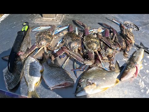 Видео: Рыбалка в устье реки на ябби (Поймай и приготовь)