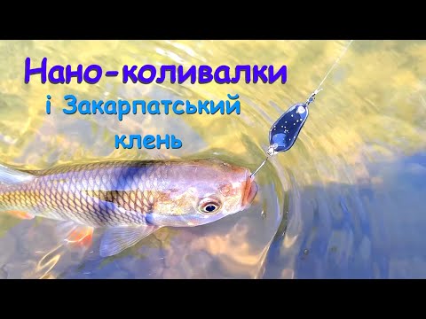 Видео: Нано коливалки і Закарпатський клень