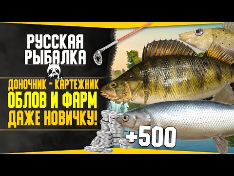 Видео: Путь доночника-картежника! в РР4 #6 💥 Облов и ФАРМ | Заработок Серебра! |Русская Рыбалка 4