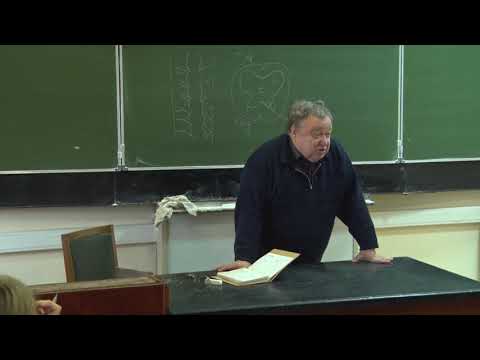 Видео: Каменский А. А. - Физиология человека и животных - 10. Морфология нервной системы