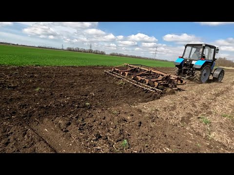Видео: Самодельные штригеля, испытания. МТЗ 82 работа с культиватором. Первая культивация КПС 4.2