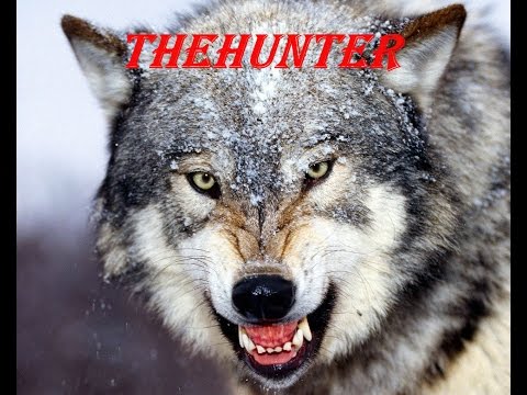 Видео: theHunter #1. Бригада с МАКСИМОВКИ выехала на охоту