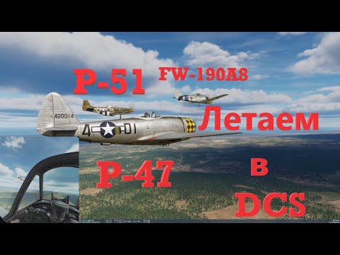 Видео: Поверхностное сравнение P-47, P-51, Fw190A8 в DCS