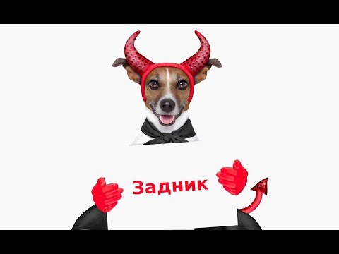 Видео: Кучето ме хапе и пикае навсякъде!