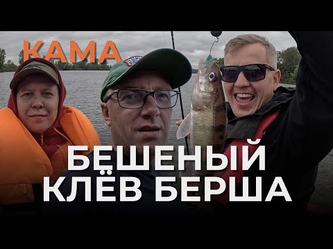 Видео: Рыбалка на Каме. Берш, друзья и хорошая погода!