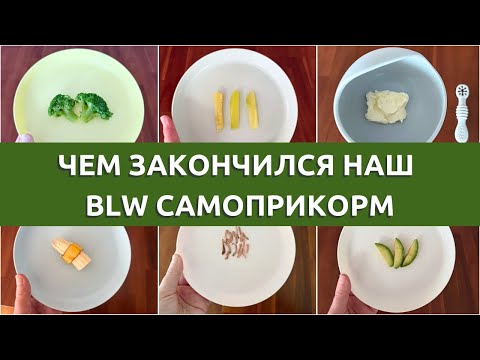Видео: ВСЁ О БЛВ (BLW) САМОПРИКОРМЕ 🥦 НАШ ОПЫТ САМОПРИКОРМА С 6 МЕСЯЦЕВ до 1,5 ЛЕТ
