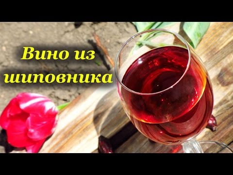 Видео: Вино из шиповника, процесс приготовления