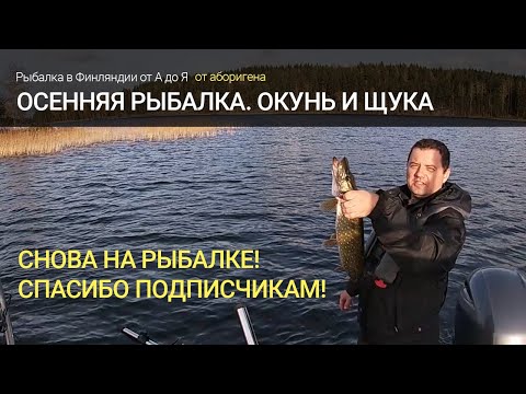 Видео: Осенняя рыбалка в Финляндии. Джиговый окунь и щука на воблеры