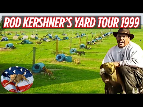 Видео: Экскурсия по двору Рода Кершнера | Самый впечатляющий тур по питомнику игровых собак APBT